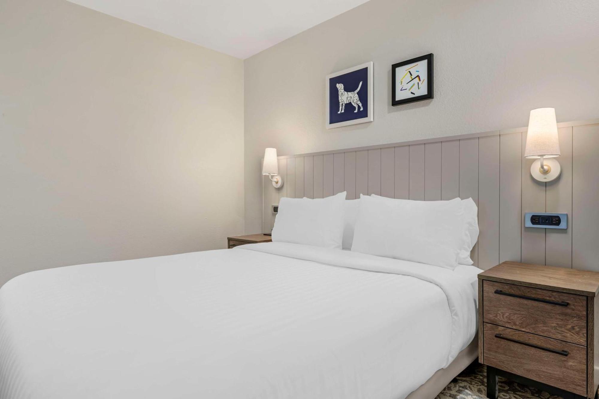 Sonesta Es Suites Torrance Redondo Beach المظهر الخارجي الصورة